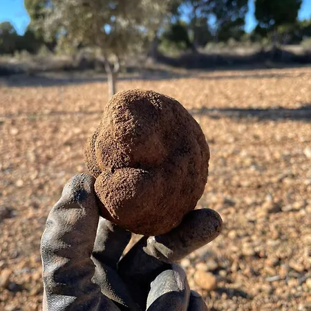 Masia La Casablanca *