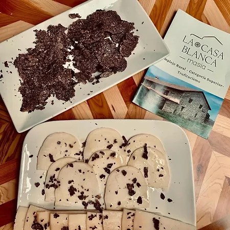 Prázdninový dům Masia La Casablanca *