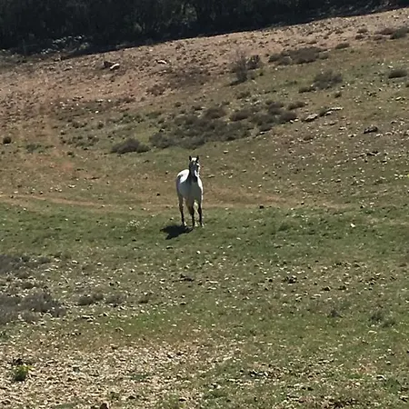 Prázdninový dům Masia La Casablanca *
