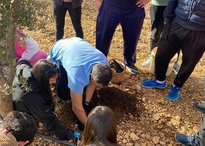 Casa de Férias Masia La Casablanca