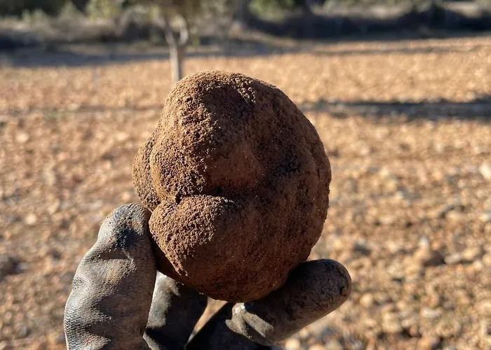 Masia La Casablanca *