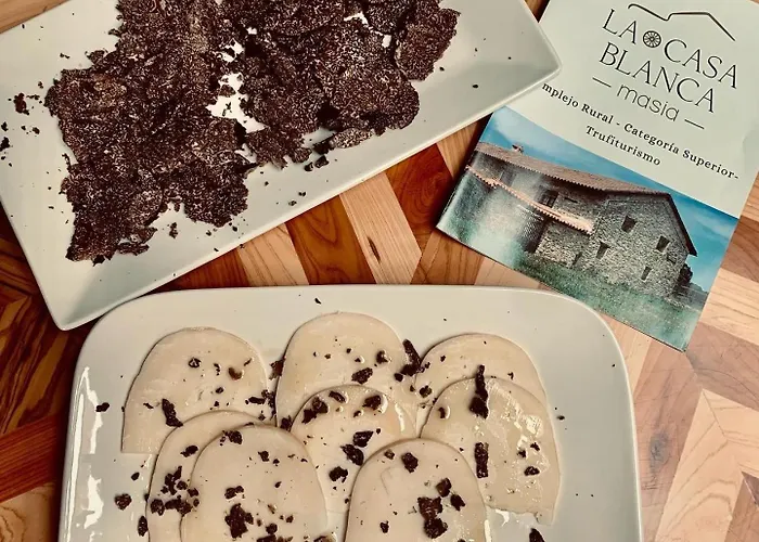 Casa de Férias Masia La Casablanca *